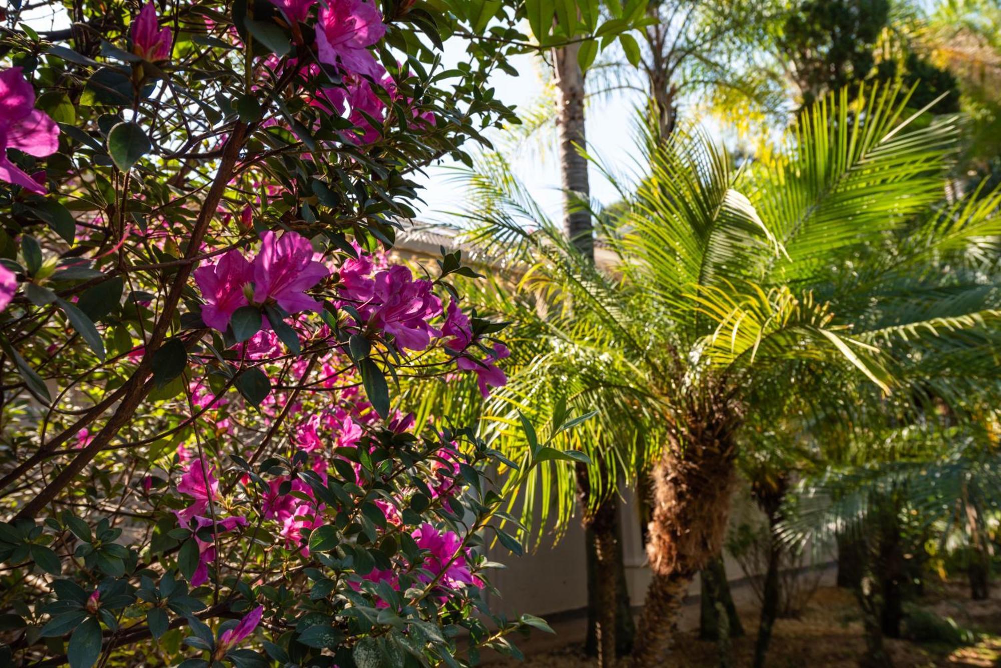 Fazenda Vila Real - Grande E Charmosa Casa De Campo イトゥー エクステリア 写真