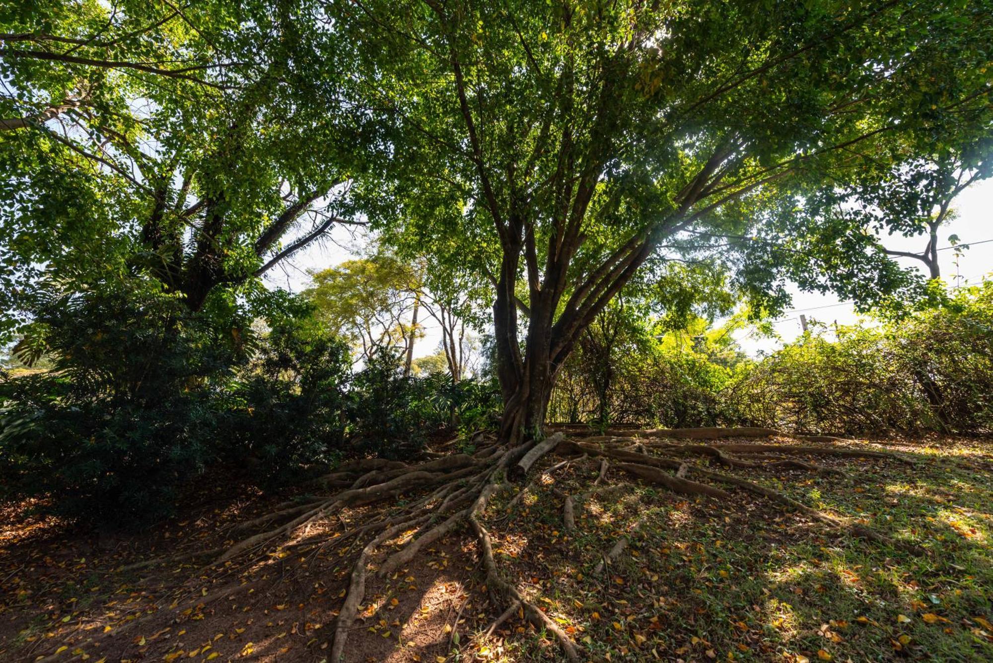 Fazenda Vila Real - Grande E Charmosa Casa De Campo イトゥー エクステリア 写真